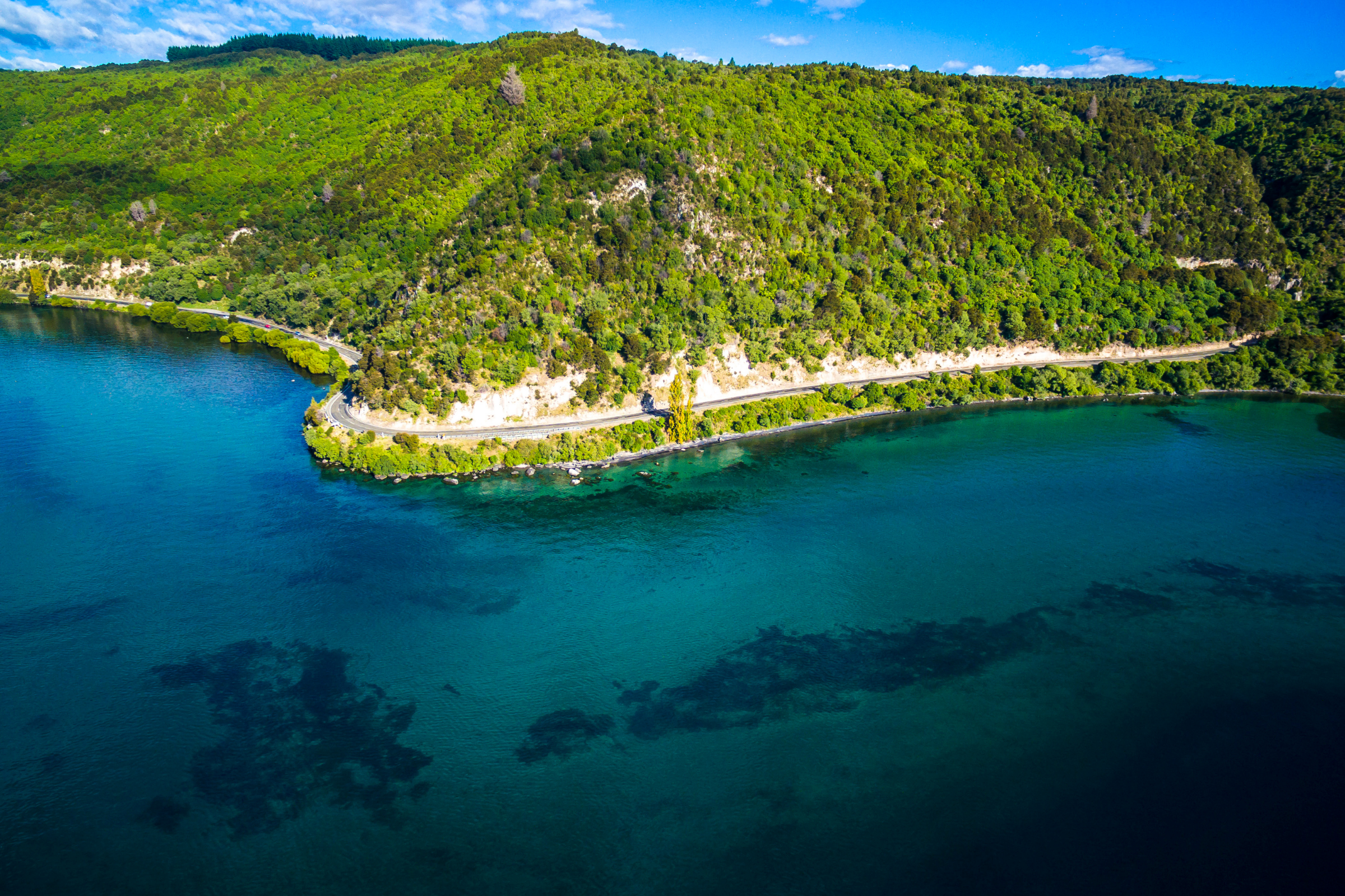 taupo (4).webp
